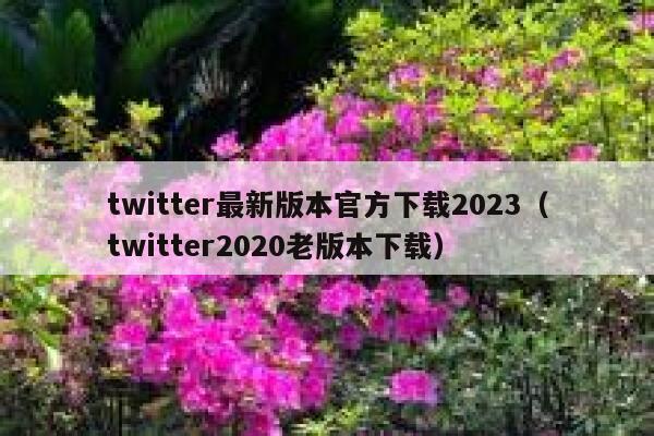 twitter最新版本官方下载2023（twitter2020老版本下载） 第1张