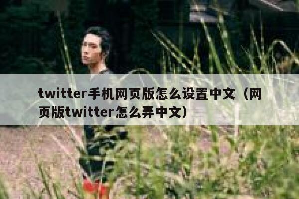 twitter手机网页版怎么设置中文（网页版twitter怎么弄中文） 第1张