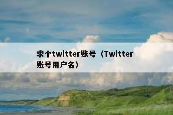 求个twitter账号（Twitter 账号用户名） 第1张