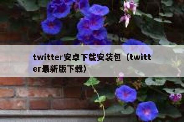 twitter安卓下载安装包（twitter最新版下载） 第1张
