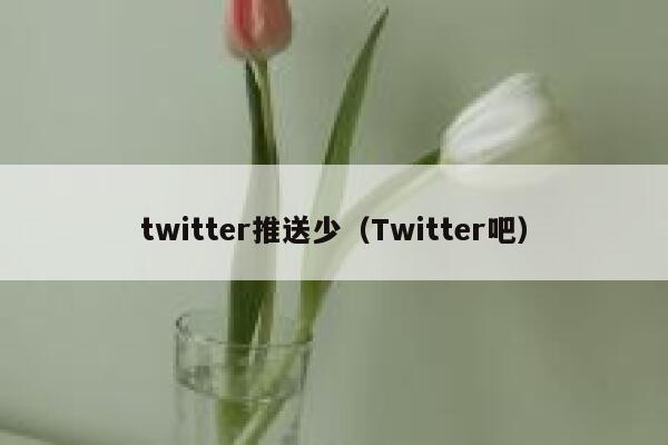 twitter推送少(Twitter吧) 第1张 twitter推送少(Twitter吧) 第1张