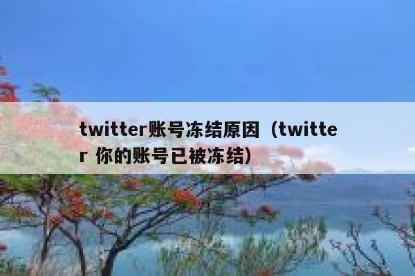 twitter账号冻结原因（twitter 你的账号已被冻结） 第1张