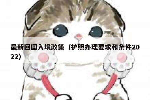 最新回国入境政策(护照办理要求和条件2022) 第1张 最新回国入境政策(护照办理要求和条件2022) 第1张