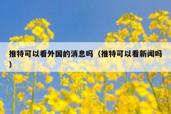 推特可以看外国的消息吗（推特可以看新闻吗） 第1张