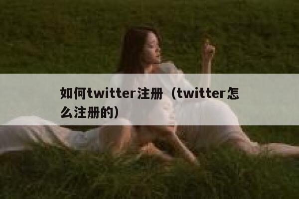 如何twitter注册（twitter怎么注册的） 第1张