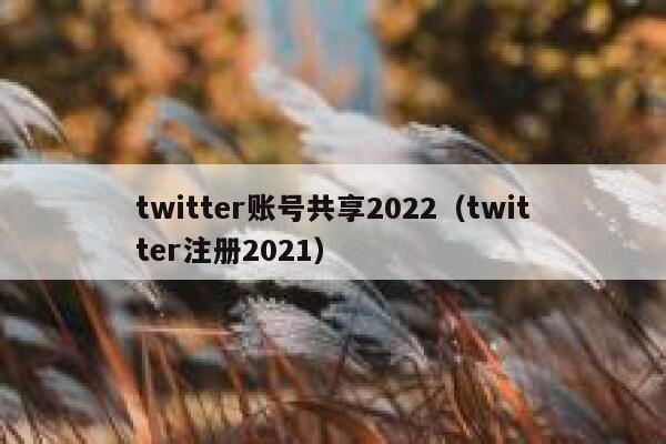 twitter账号共享2022（twitter注册2021） 第1张