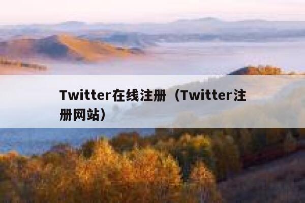 Twitter在线注册(Twitter注册网站) 第1张 Twitter在线注册(Twitter注册网站) 第1张