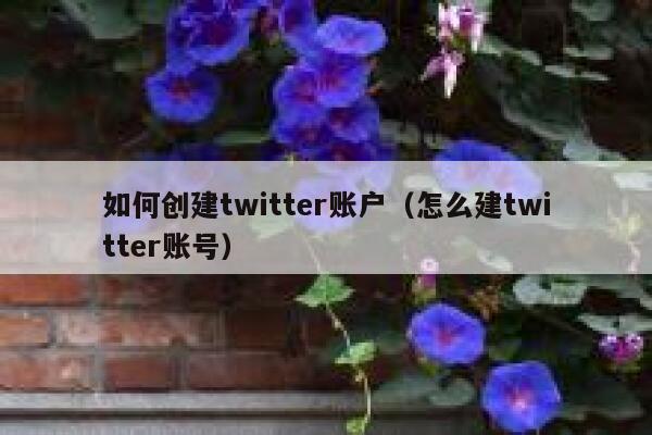 如何创建twitter账户（怎么建twitter账号） 第1张