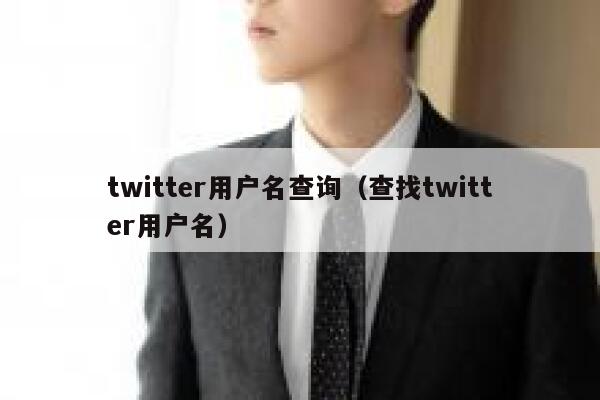 twitter用户名查询（查找twitter用户名） 第1张