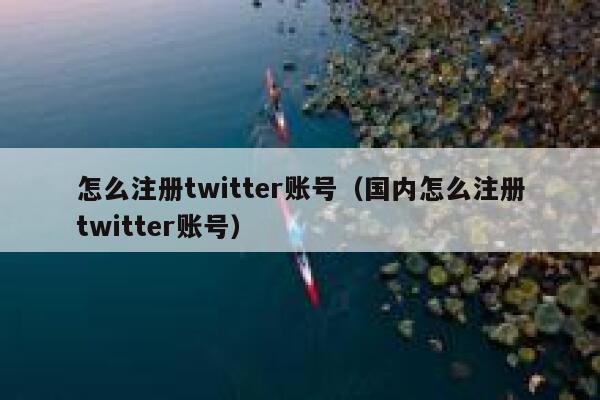怎么注册twitter账号（国内怎么注册twitter账号） 第1张