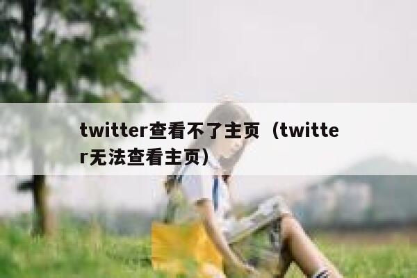 twitter查看不了主页（twitter无法查看主页） 第1张