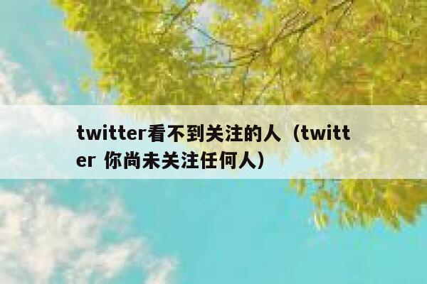 twitter看不到关注的人(twitter 你尚未关注任何人) 第1张 twitter看不到关注的人(twitter 你尚未关注任何人) 第1张