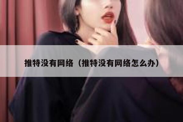 推特没有网络（推特没有网络怎么办） 第1张