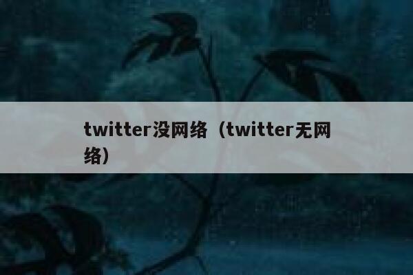 twitter没网络（twitter无网络） 第1张