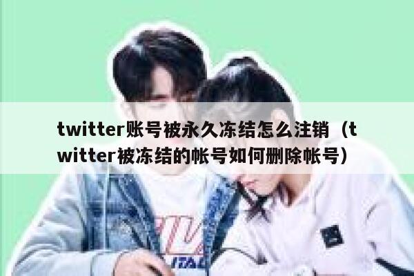 twitter账号被永久冻结怎么注销（twitter被冻结的帐号如何删除帐号） 第1张