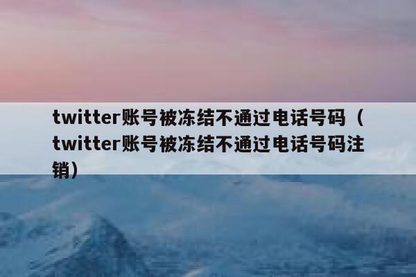twitter账号被冻结不通过电话号码（twitter账号被冻结不通过电话号码注销） 第1张
