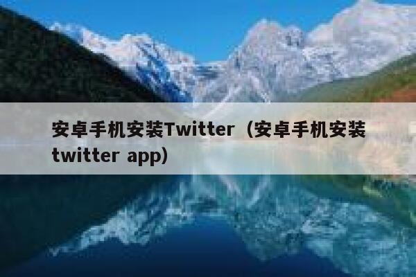 安卓手机安装Twitter(安卓手机安装twitter app) 第1张 安卓手机安装Twitter(安卓手机安装twitter app) 第1张
