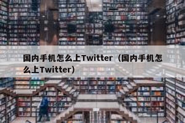国内手机怎么上Twitter（国内手机怎么上Twitter） 第1张