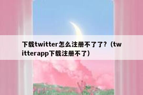下载twitter怎么注册不了了?（twitterapp下载注册不了） 第1张