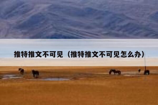 推特推文不可见（推特推文不可见怎么办） 第1张