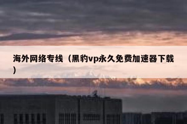 海外网络专线（黑豹vp永久免费加速器下载） 第1张