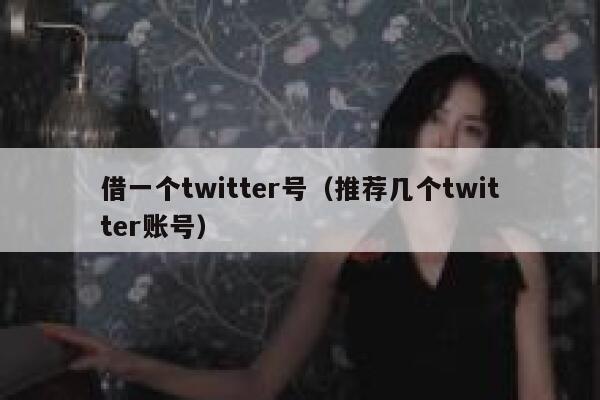 借一个twitter号（推荐几个twitter账号） 第1张