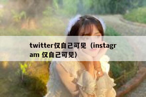 twitter仅自己可见（instagram 仅自己可见） 第1张