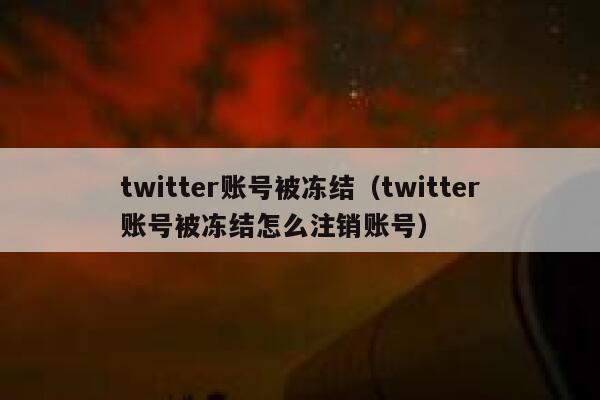 twitter账号被冻结(twitter账号被冻结怎么注销账号) 第1张 twitter账号被冻结(twitter账号被冻结怎么注销账号) 第1张
