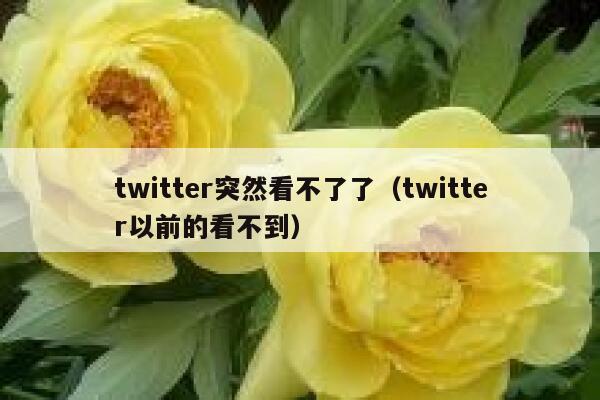 twitter突然看不了了（twitter以前的看不到） 第1张