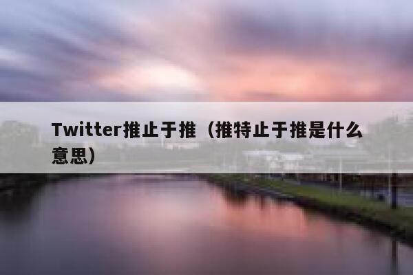 Twitter推止于推（推特止于推是什么意思） 第1张
