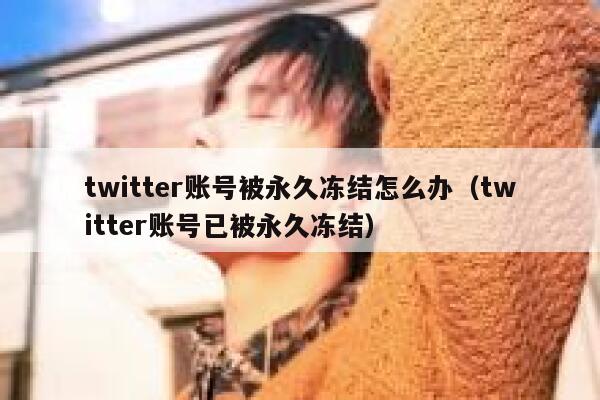 twitter账号被永久冻结怎么办（twitter账号已被永久冻结） 第1张