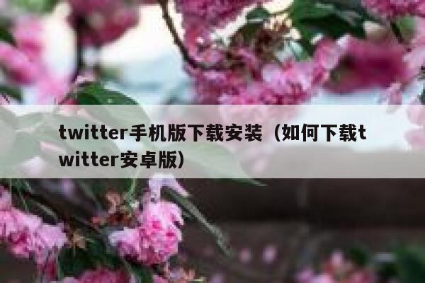 twitter手机版下载安装（如何下载twitter安卓版） 第1张