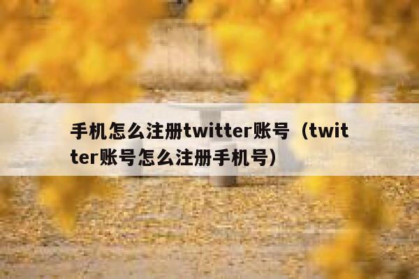手机怎么注册twitter账号(twitter账号怎么注册手机号) 第1张 手机怎么注册twitter账号(twitter账号怎么注册手机号) 第1张