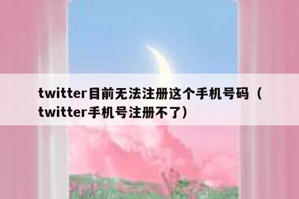 twitter目前无法注册这个手机号码（twitter手机号注册不了） 第1张