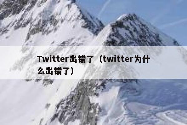 Twitter出错了（twitter为什么出错了） 第1张