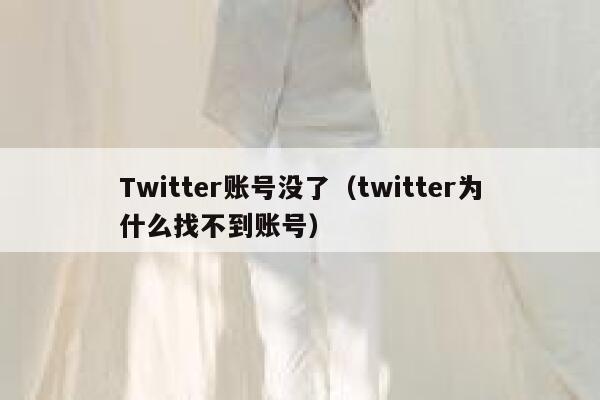 Twitter账号没了(twitter为什么找不到账号) 第1张 Twitter账号没了(twitter为什么找不到账号) 第1张