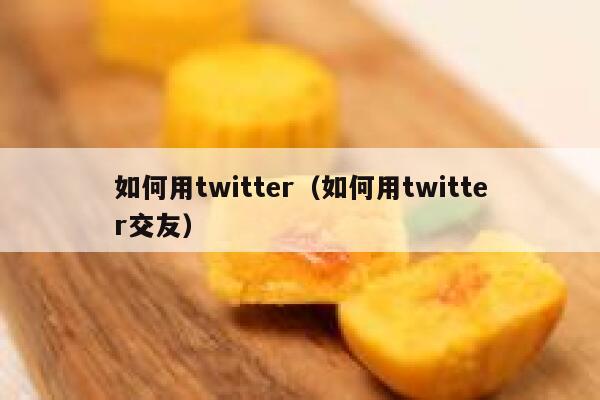 如何用twitter（如何用twitter交友） 第1张