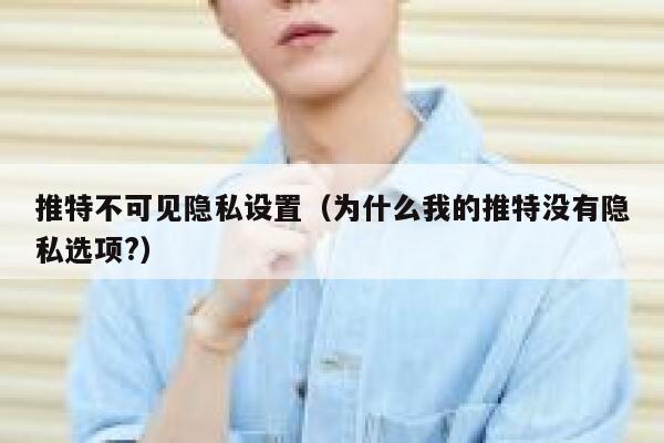 推特不可见隐私设置(为什么我的推特没有隐私选项?) 第1张 推特不可见隐私设置(为什么我的推特没有隐私选项?) 第1张