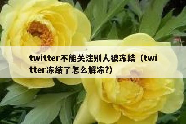 twitter不能关注别人被冻结(twitter冻结了怎么解冻?) 第1张 twitter不能关注别人被冻结(twitter冻结了怎么解冻?) 第1张