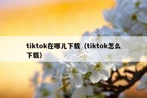 tiktok在哪儿下载(tiktok怎么下载) 第1张 tiktok在哪儿下载(tiktok怎么下载) 第1张