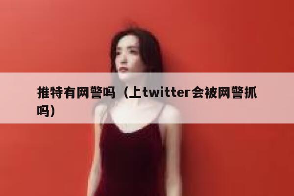 推特有网警吗(上twitter会被网警抓吗) 第1张 推特有网警吗(上twitter会被网警抓吗) 第1张