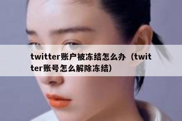 twitter账户被冻结怎么办（twitter账号怎么解除冻结） 第1张