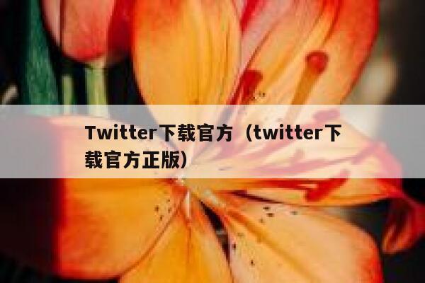Twitter下载官方（twitter下载官方正版） 第1张