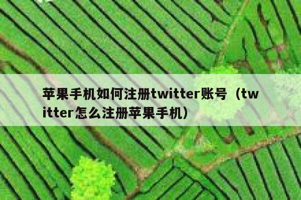 苹果手机如何注册twitter账号(twitter怎么注册苹果手机) 第1张 苹果手机如何注册twitter账号(twitter怎么注册苹果手机) 第1张