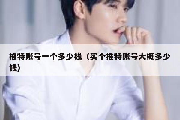 推特账号一个多少钱（买个推特账号大概多少钱） 第1张