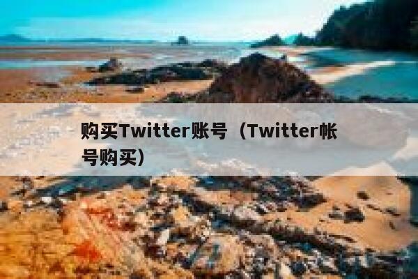 购买Twitter账号（Twitter帐号购买） 第1张