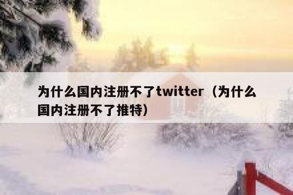 为什么国内注册不了twitter（为什么国内注册不了推特） 第1张