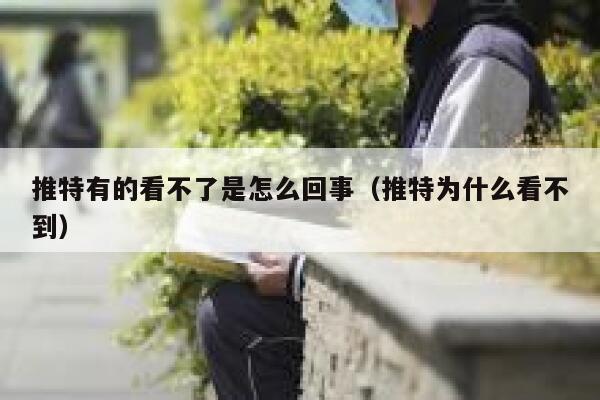 推特有的看不了是怎么回事（推特为什么看不到） 第1张