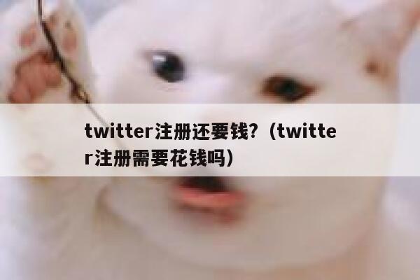 twitter注册还要钱?（twitter注册需要花钱吗） 第1张