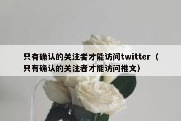 只有确认的关注者才能访问twitter（只有确认的关注者才能访问推文） 第1张